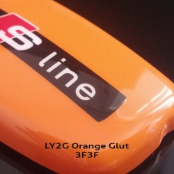 LY2G_Orange_Glut