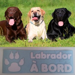 Labrador_à_bord