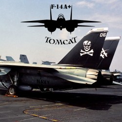 F-14_Tomcat_VF103